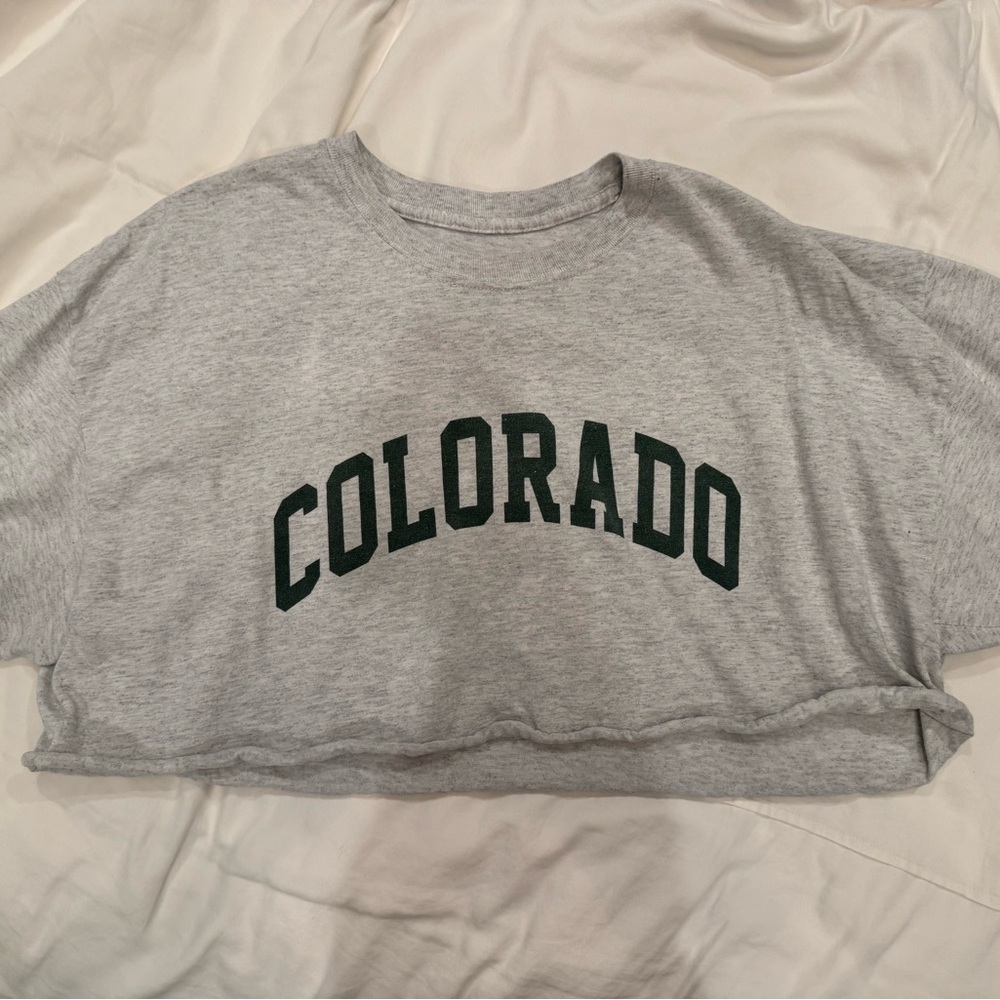 Brandy Melville Colorado Cropped Tee